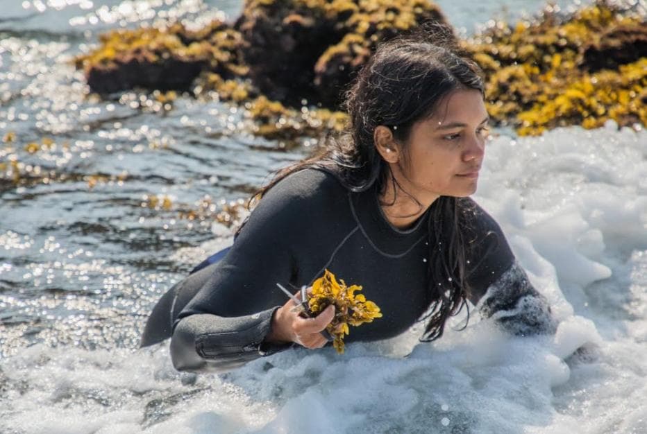 Sunset & Seaweed with Goya Journal