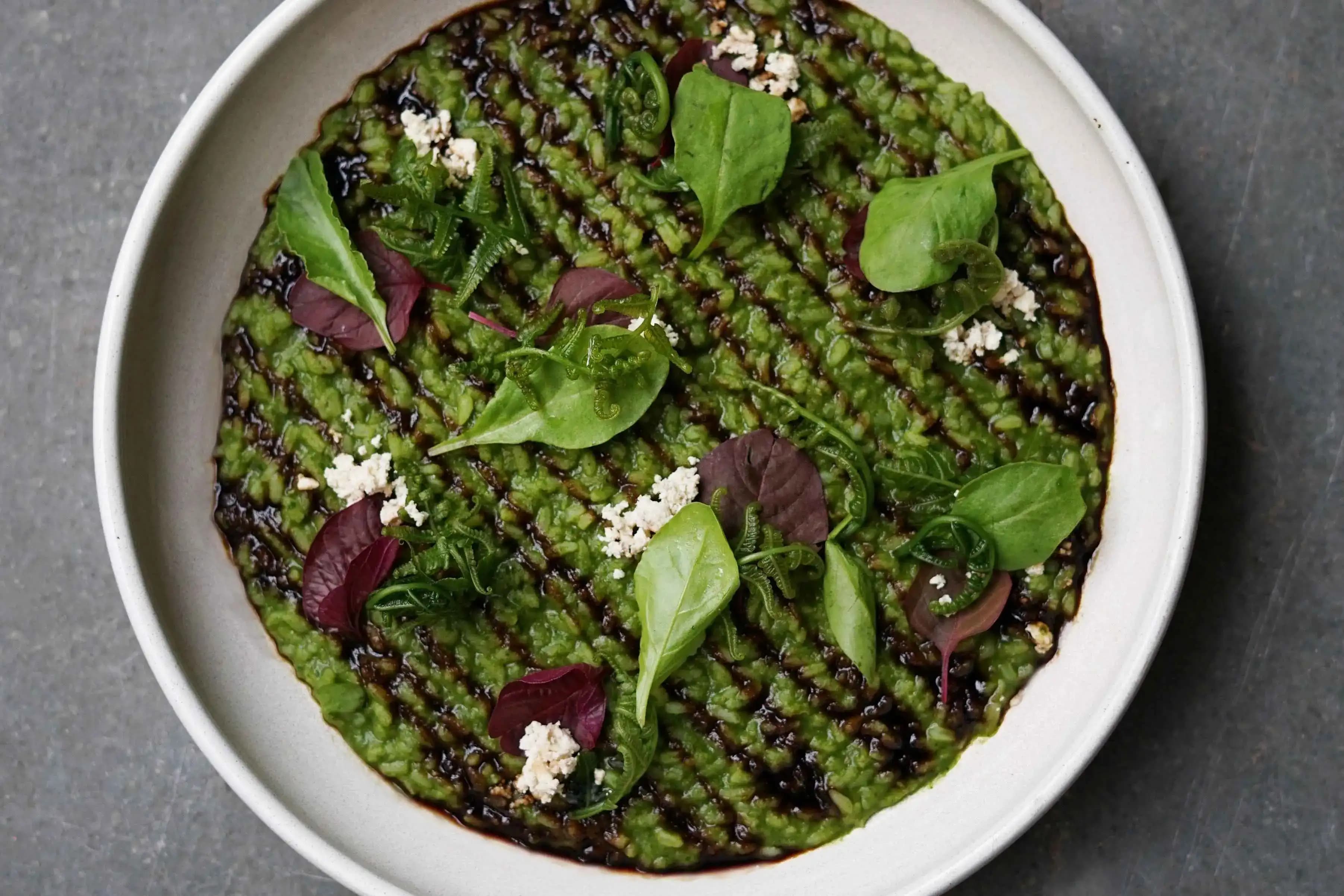 Bengal to Nilgiris by Sienna Calcutta